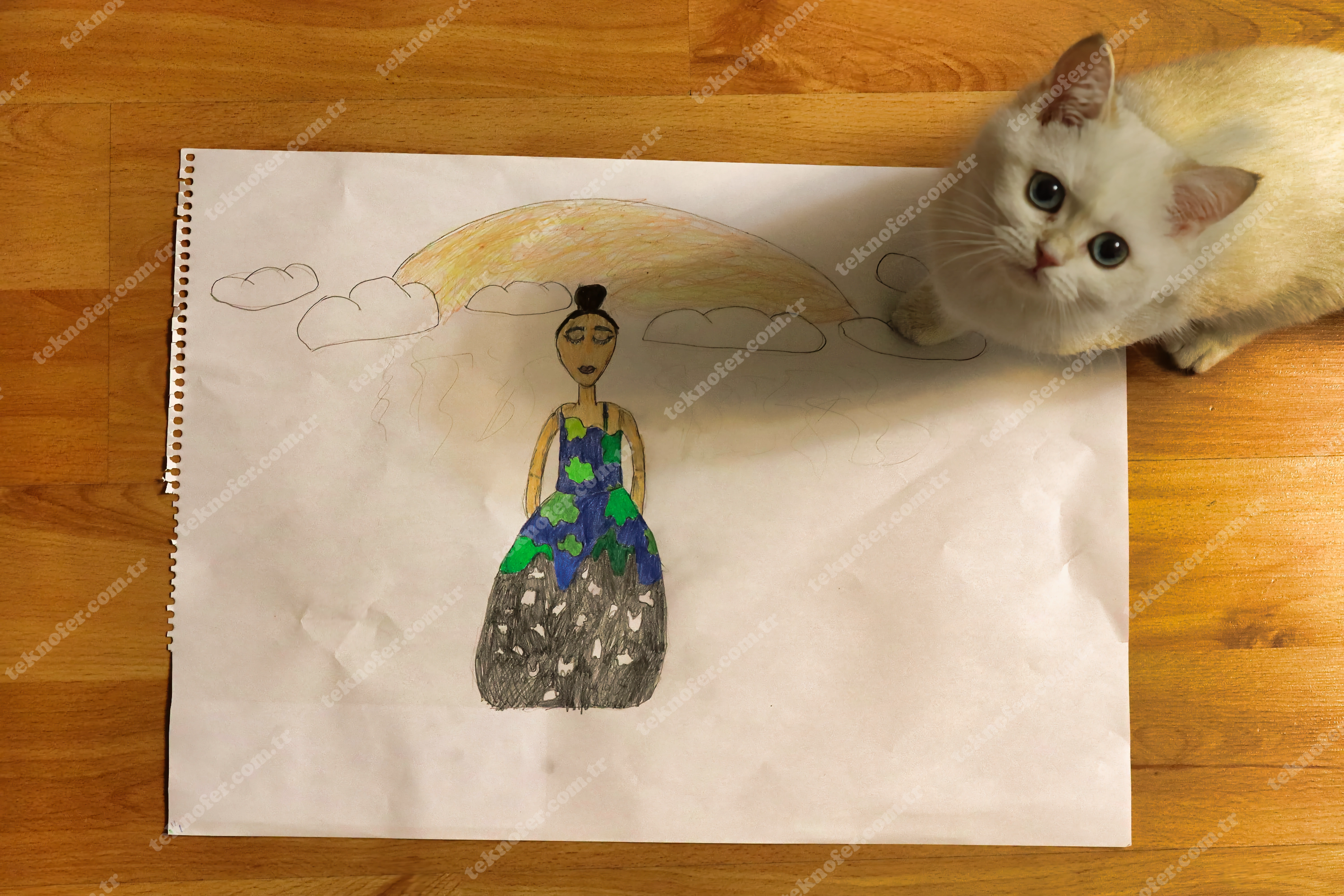 Stockfoto Britische Kurzhaar Goldene Katze neben Bild auf Laminatfußboden