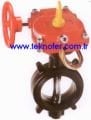 Butterfly Valve with Monitoring Key-2 1/2