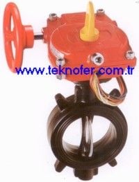 Butterfly Valve with Monitoring Key-10