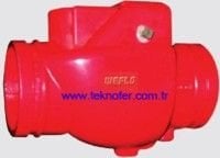 Swing Check Valve 6